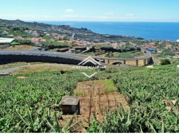 Terreno para Venda em Camara de Lobos