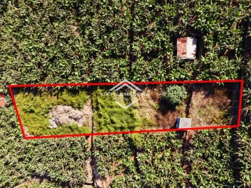 Terreno para Venda em Camara de Lobos
