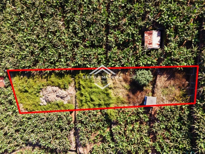 Terreno para Venda em Camara de Lobos Foto 3