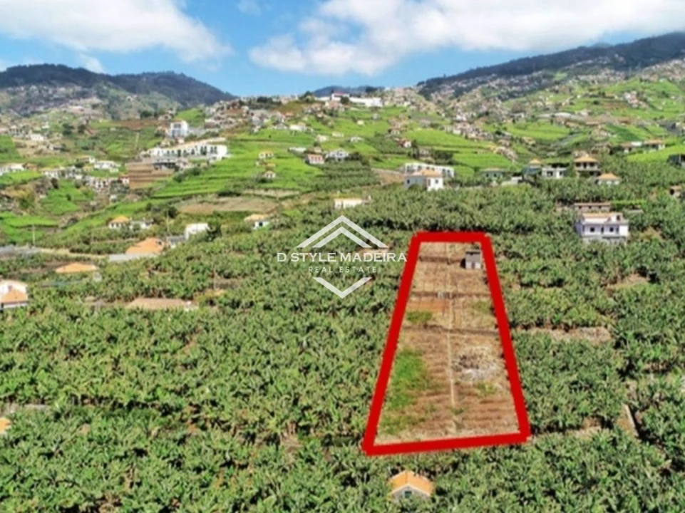 Terreno para Venda em Camara de Lobos Foto 8