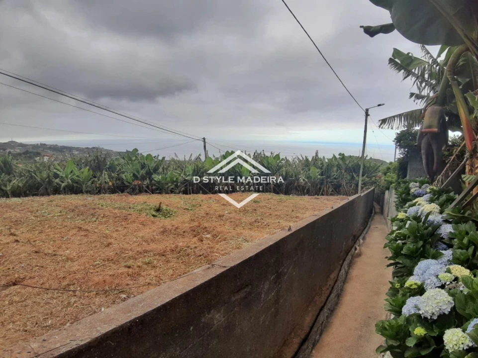 Terreno para Venda em Camara de Lobos Foto 11