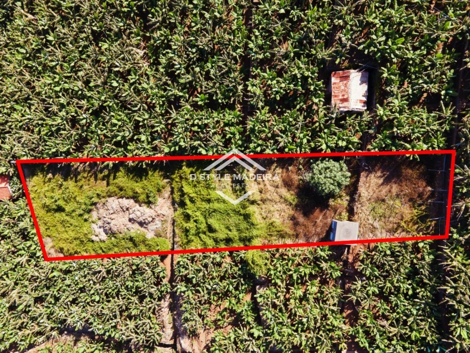 Terreno para Venda em Camara de Lobos Foto 3