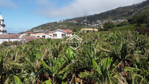 Terreno para Venda em Arco da Calheta