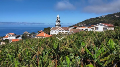 Terreno para Venda em Arco da Calheta