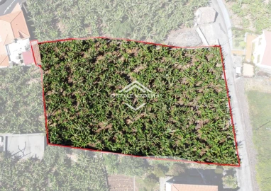 Terreno para Venda em Arco da Calheta