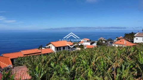 Terreno para Venda em Arco da Calheta