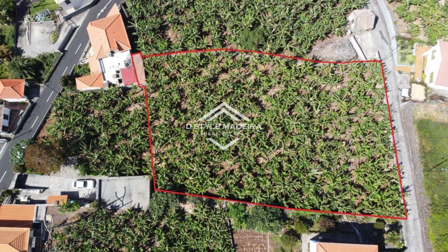 Terreno para Venda em Arco da Calheta Foto 3
