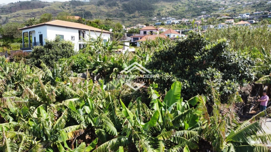 Terreno para Venda em Arco da Calheta Foto 5