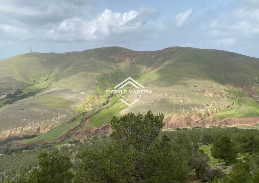 Terreno para Venda em Porto Santo Foto 3