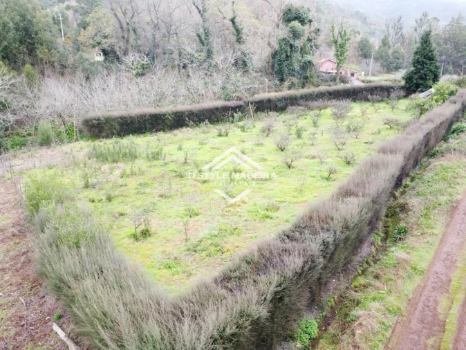 Terreno para Venda em Arco da Calheta Foto 12