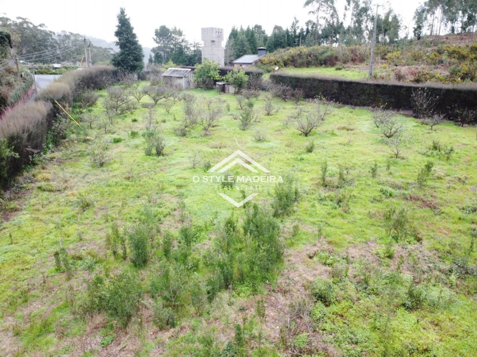 Terreno para Venda em Arco da Calheta Foto 6