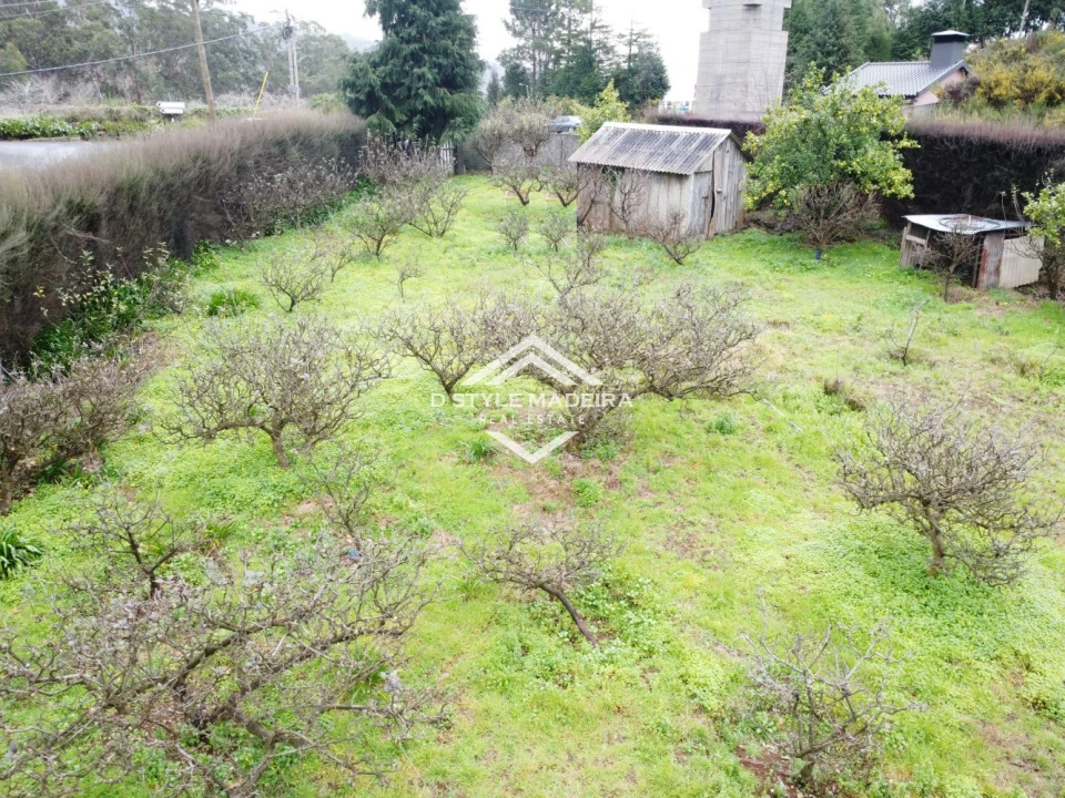 Terreno para Venda em Arco da Calheta Foto 3