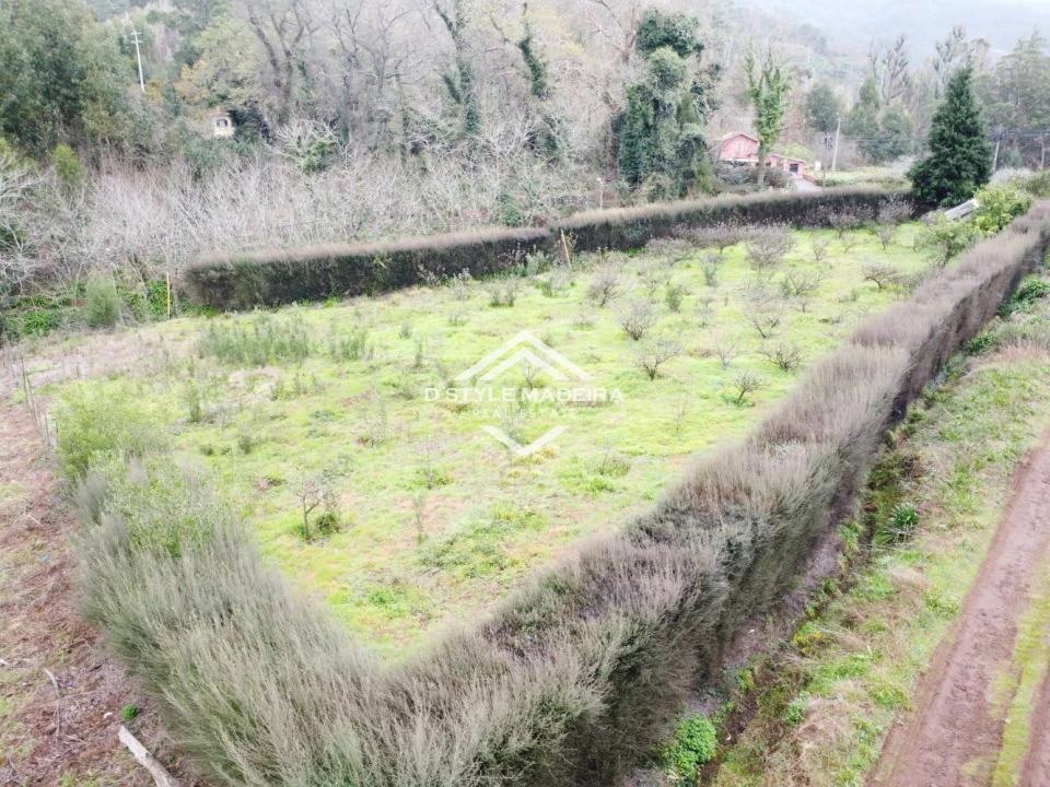 Terreno para Venda em Arco da Calheta Foto 12