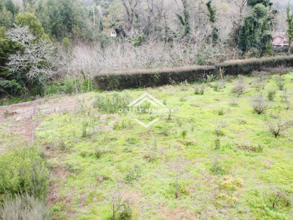 Terreno para Venda em Arco da Calheta Foto 10