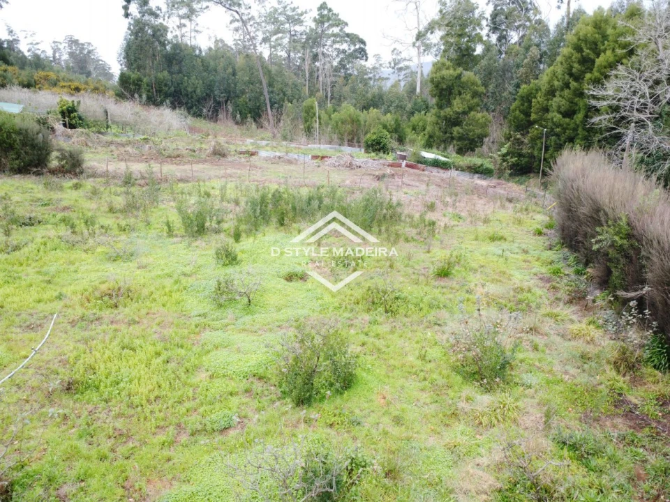 Terreno para Venda em Arco da Calheta Foto 5
