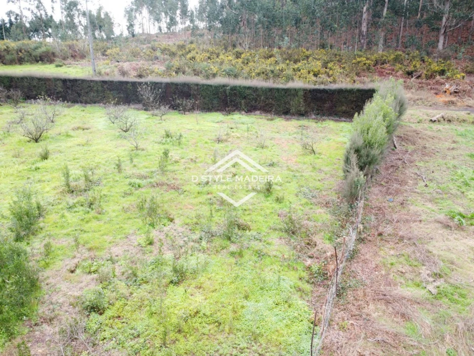 Terreno para Venda em Arco da Calheta Foto 8