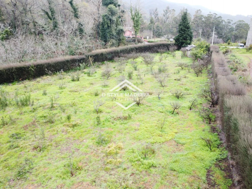 Terreno para Venda em Arco da Calheta Foto 4