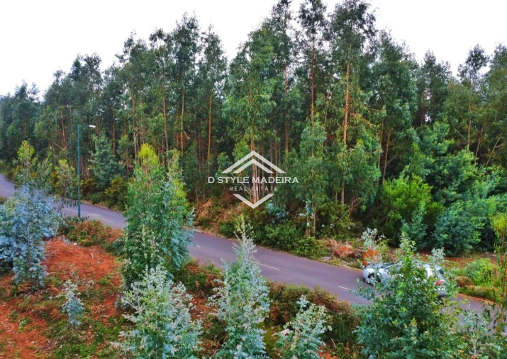 Terreno para Venda em Camacha Foto 3