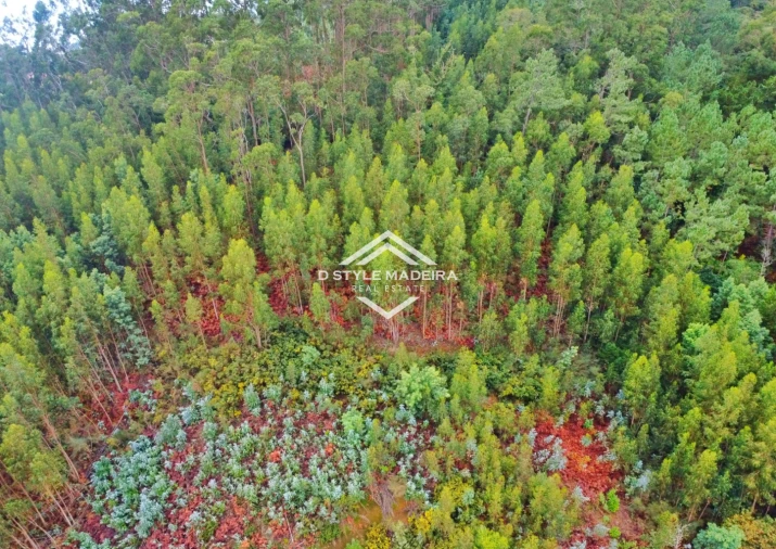 Terreno para Venda em Camacha Foto 2