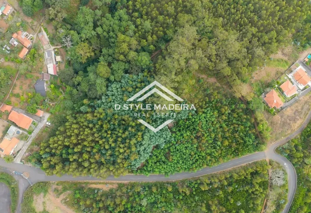 Terreno para Venda em Camacha Foto 7