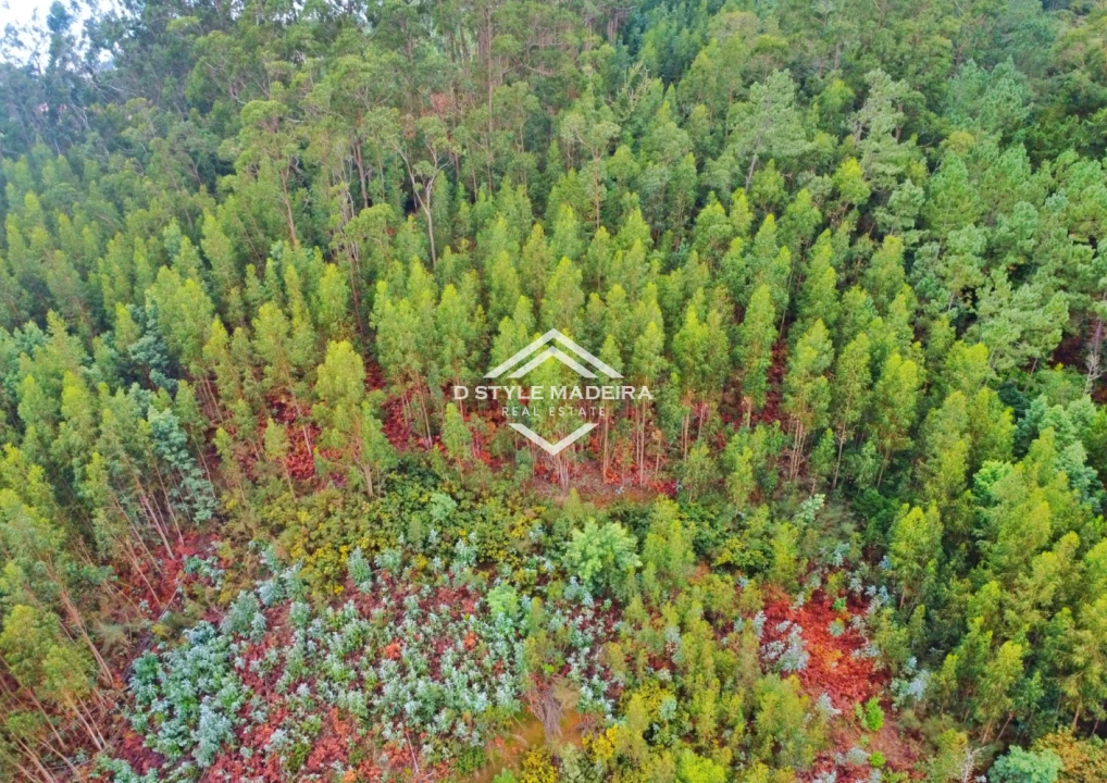 Terreno para Venda em Camacha Foto 2