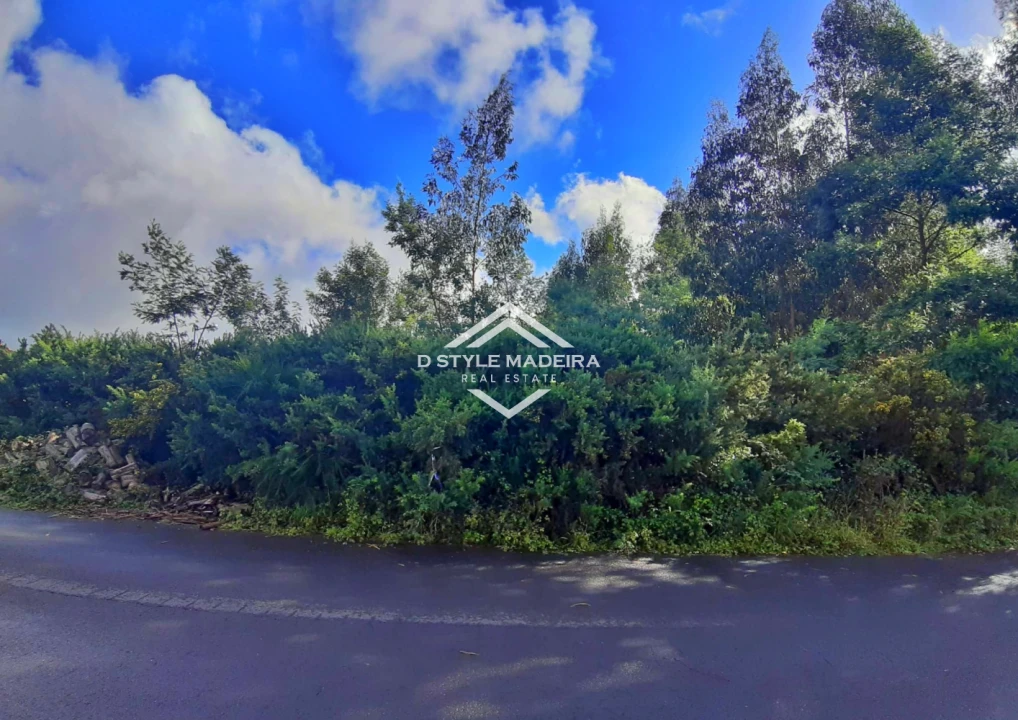 Terreno para Venda em Camacha Foto 5