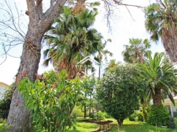 Moradia T6 para Venda em Santo Antonio