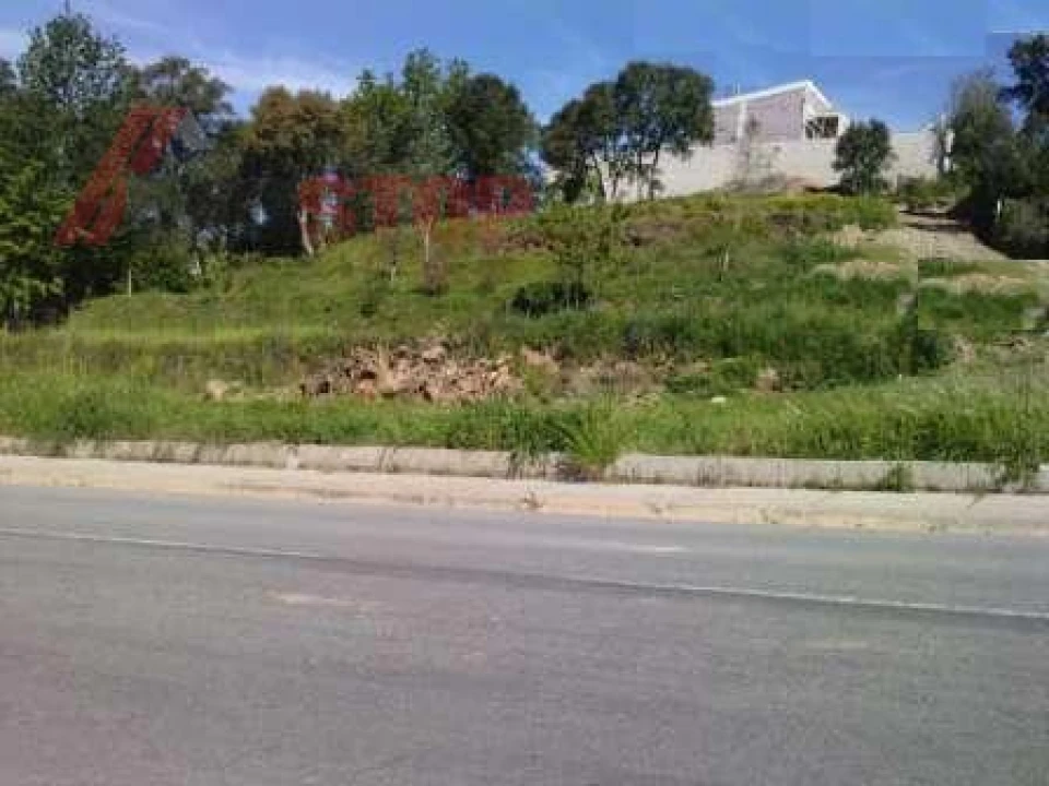 Terreno para Venda em Macinhata do Vouga Foto 2