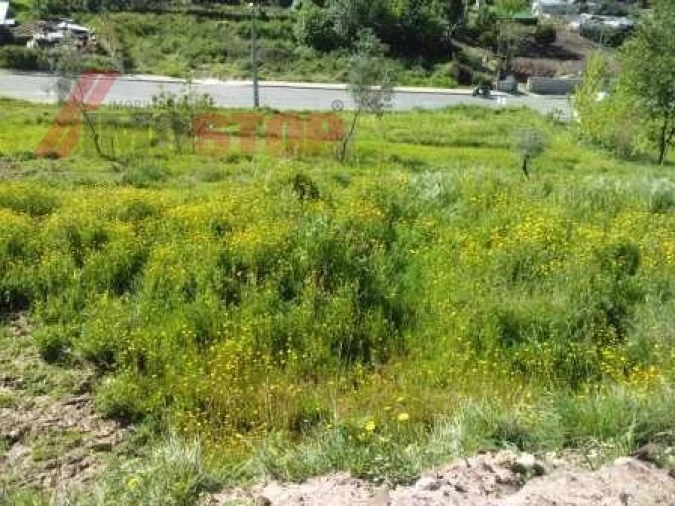 Terreno para Venda em Macinhata do Vouga Foto 4