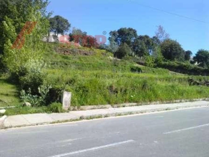 Terreno para Venda em Macinhata do Vouga Foto 1