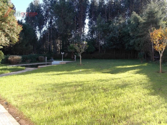 Moradia T5 para Venda em Águeda e Borralha Foto 3