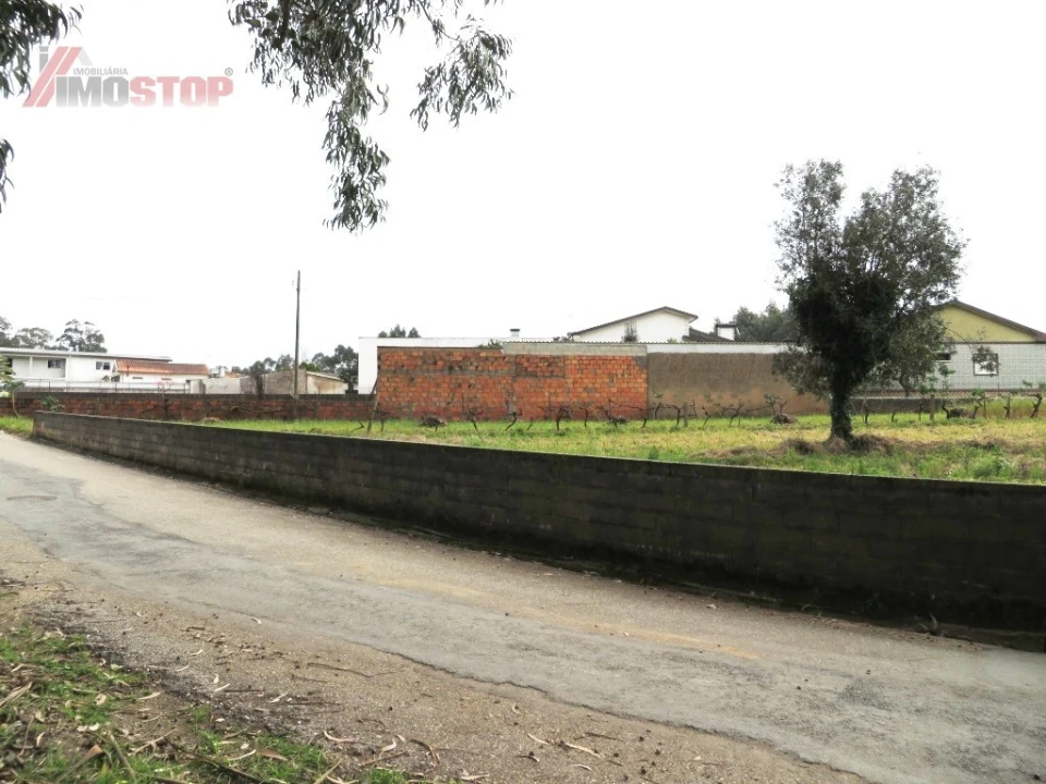 Terreno para Venda em Macinhata do Vouga Foto 3
