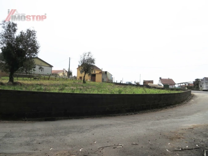 Terreno para Venda em Macinhata do Vouga Foto 2