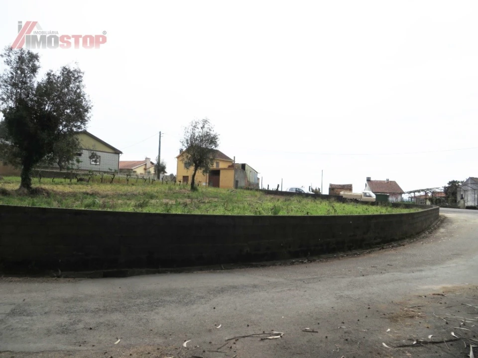 Terreno para Venda em Macinhata do Vouga Foto 2