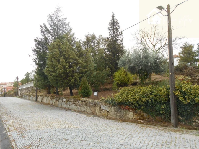 Terreno para Venda em Freixiosa Foto 2