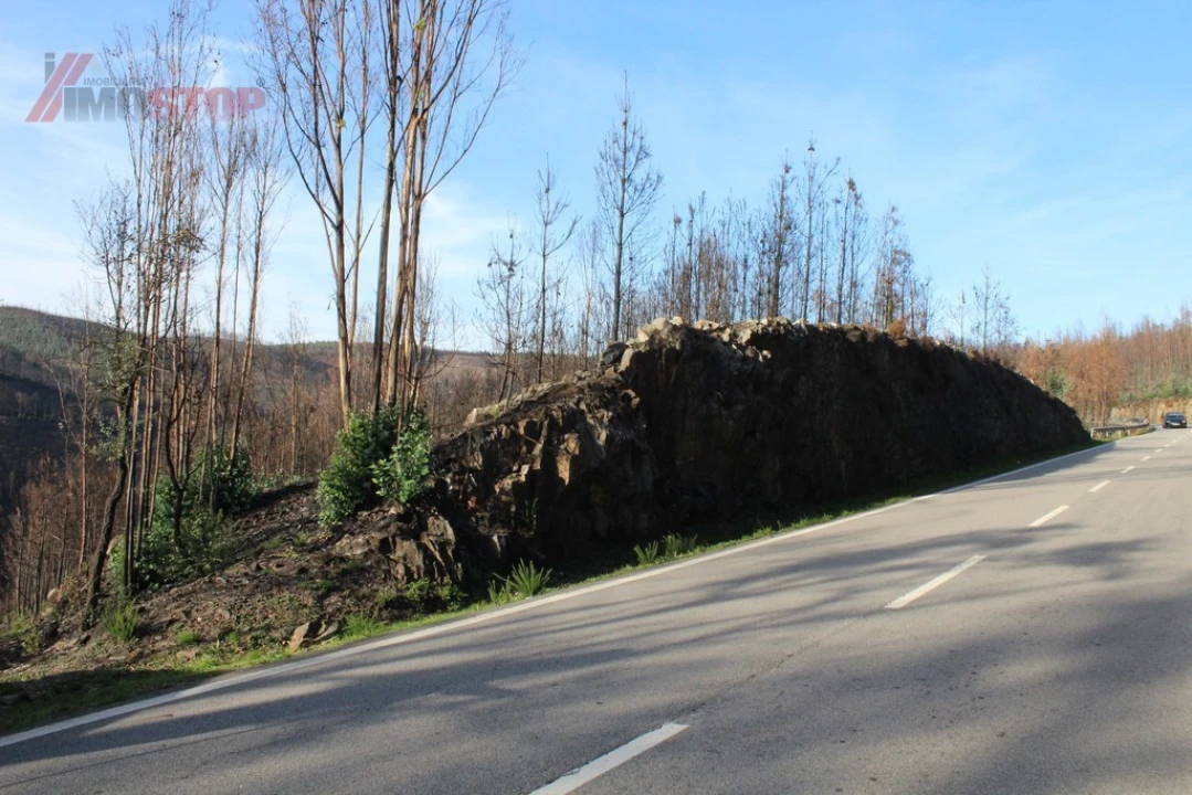 Terreno para Venda em Arouca e Burgo Foto 8