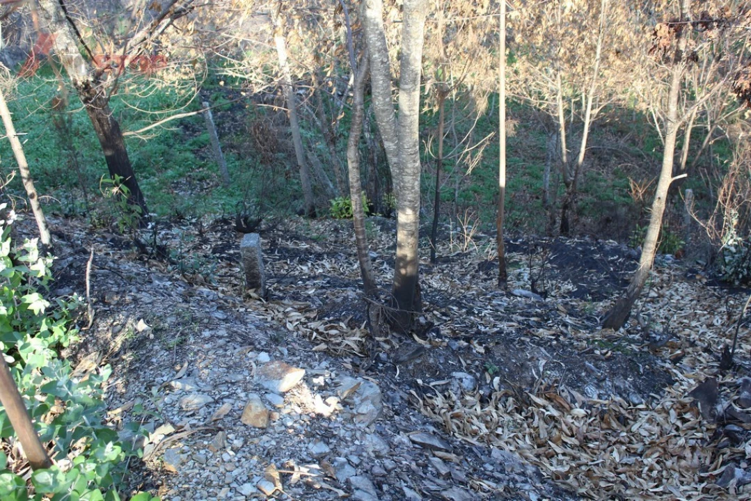 Terreno para Venda em Canelas e Espiunca Foto 5
