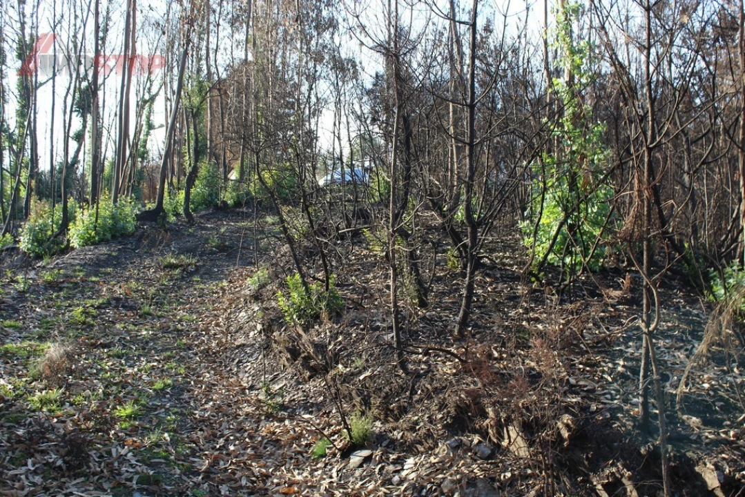 Terreno para Venda em Canelas e Espiunca Foto 8