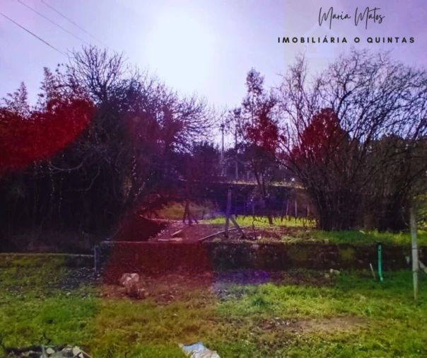 Terreno para Venda em Mangualde, Mesquitela e Cunha Alta Foto 5