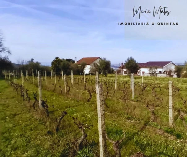 Terreno para Venda em Mangualde, Mesquitela e Cunha Alta Foto 4