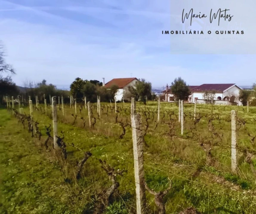 Terreno para Venda em Mangualde, Mesquitela e Cunha Alta Foto 4