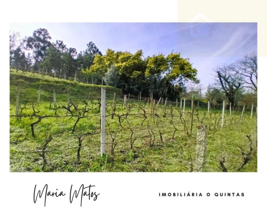 Terreno para Venda em Mangualde, Mesquitela e Cunha Alta Foto 1
