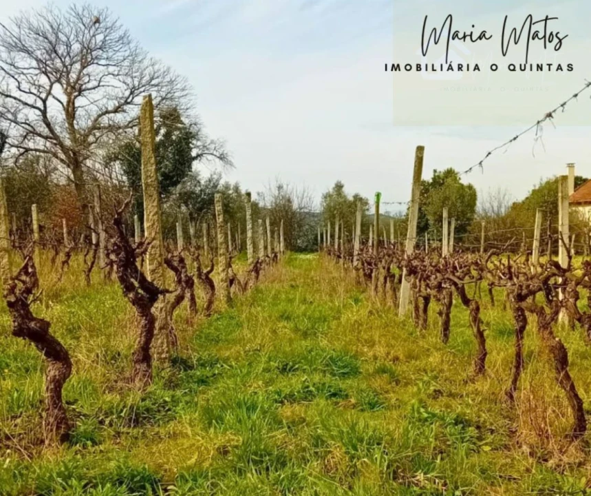 Terreno para Venda em Mangualde, Mesquitela e Cunha Alta Foto 2