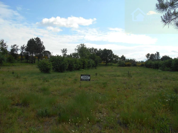 Terreno para Venda em Abrunhosa-A-Velha