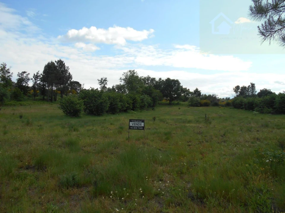 Terreno para Venda em Abrunhosa-A-Velha Foto 1