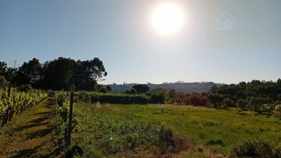 Terreno para Venda em Lusinde Foto 4