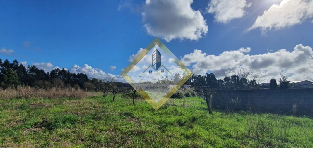 Quinta T0 para Venda em Pedroso e Seixezelo Foto 7