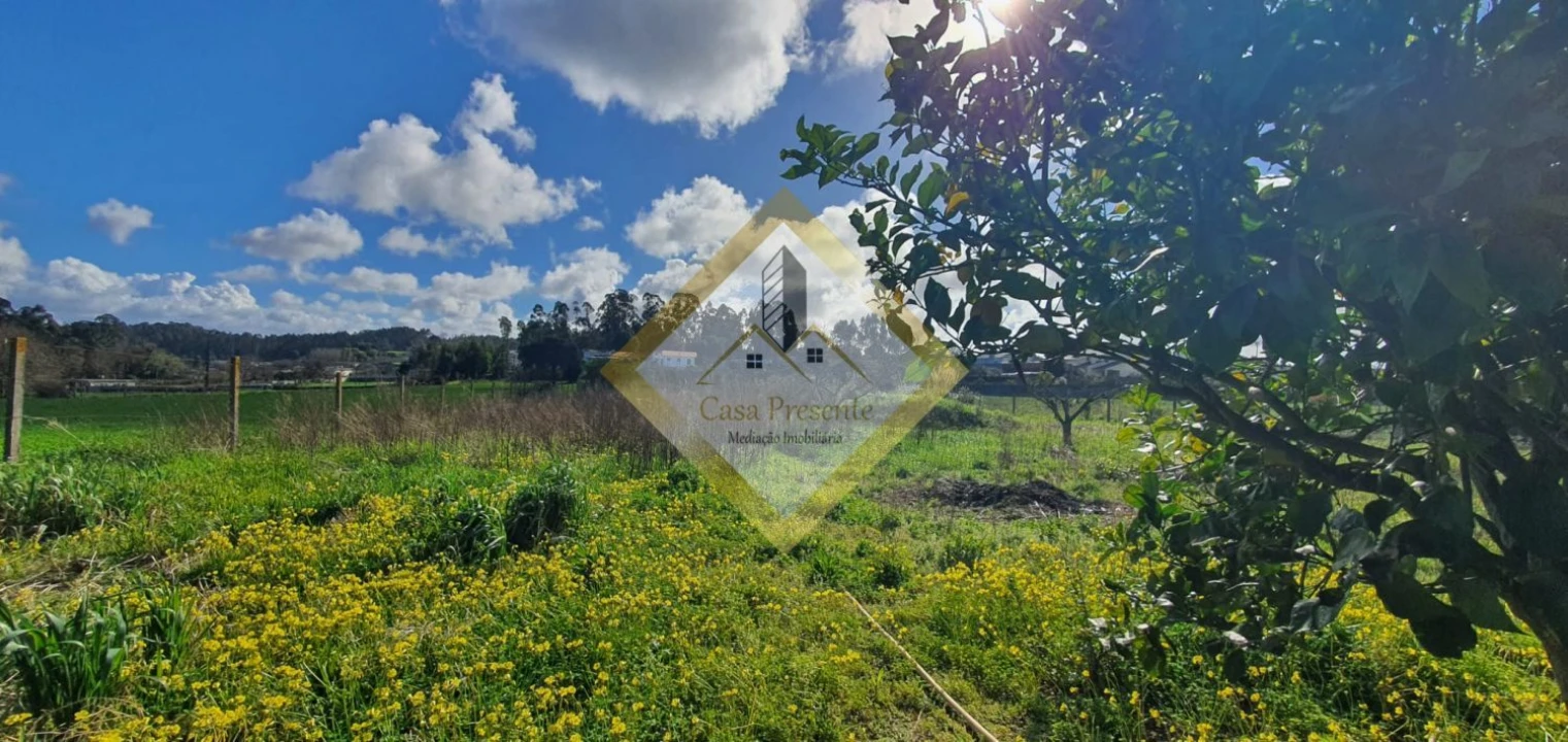 Quinta T0 para Venda em Pedroso e Seixezelo Foto 15