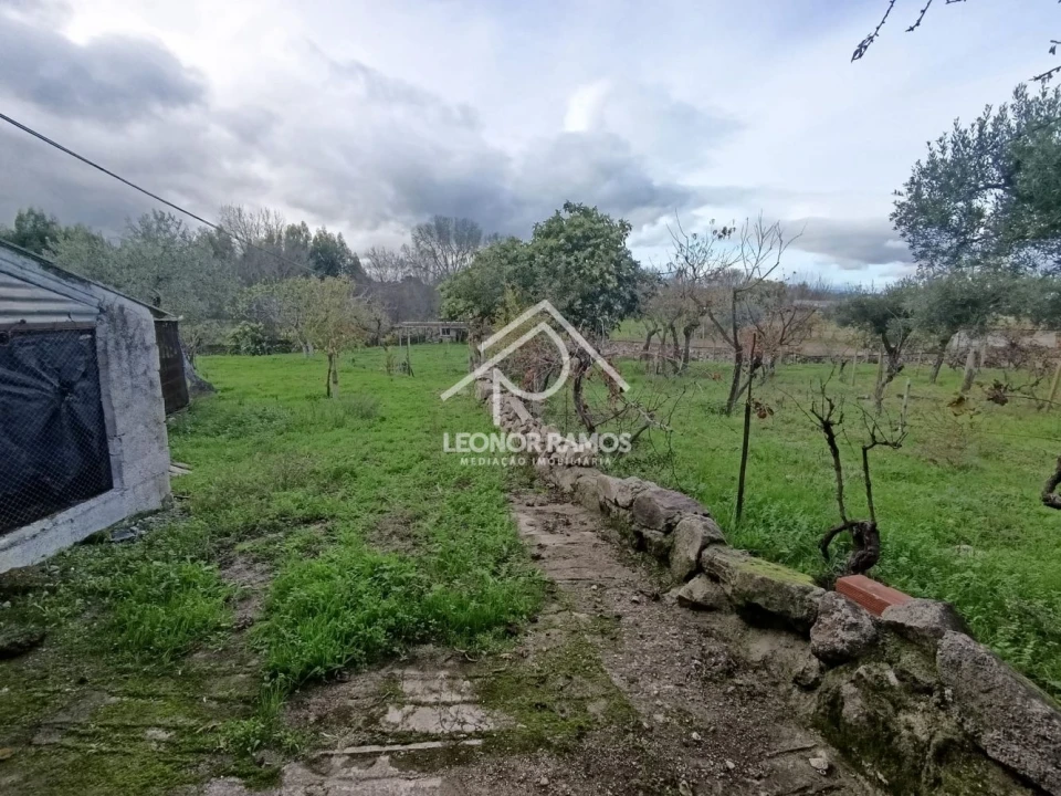 Terreno para Venda em Alcains Foto 11