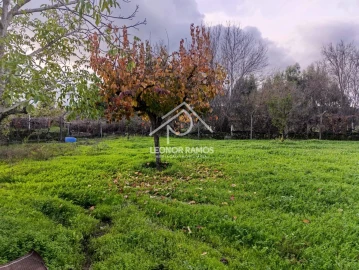 Terreno para Venda em Alcains